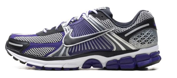 Nike Vomero 5 'Metallic Silver Court Purple'