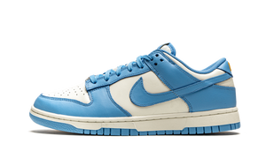 Nike Dunk Low 'Coast' Womens