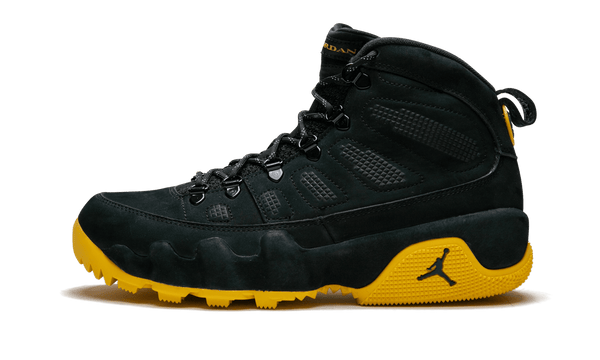 Jordan 9 Player Exclusive "Michigan"