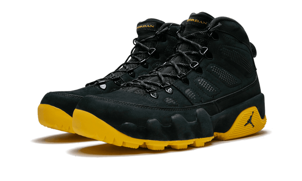 Jordan 9 Player Exclusive "Michigan"