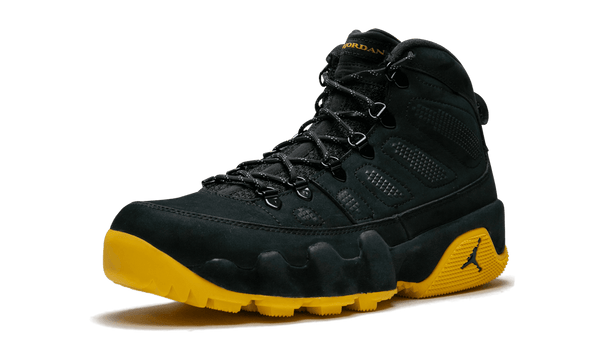 Jordan 9 Player Exclusive "Michigan"