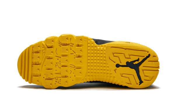 Jordan 9 Player Exclusive "Michigan"